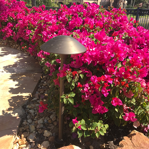 Brass Dome Pathlight | Lite the Nite